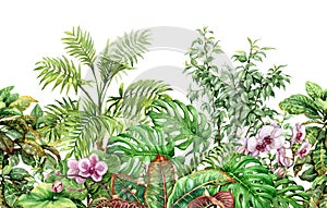 Tropical Plants Line Seamless Pattern photo