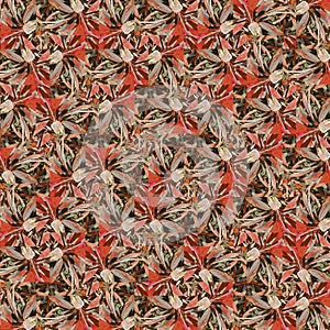 Tropical plants motif random pattern