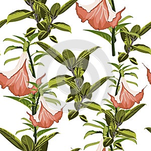 Tropical plants, exotic flowers and leaves seamless pattern on a white background. Vector illustration. Tropical lilies.