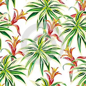 Tropical plants seamless white background