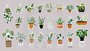 Tropical plants stickers collection with variety of cacti and succulents