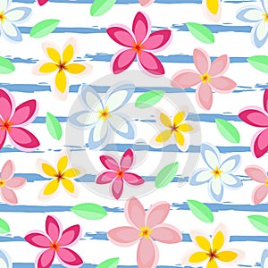 Tropical plumeria flower vector seamless pattern. Summer frangipani striped repeat pattern wallpaper, background.