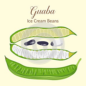 Tropical pods with seeds Guaba Ice Cream Beans photo