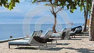 tropical pool with palm trees and beach bed chairs, beach chairs with beach towel at a pool