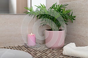 Tropical potted plant Chamaedorea, candle and bath towel in the bathroom