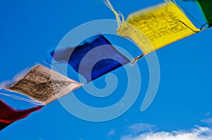 Tropical Prayer Flags