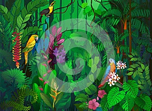 Tropical Rain Forest with colorful birds in  illustration