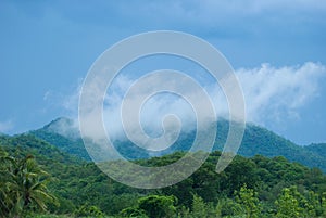 Tropical rain forest during monsoon season