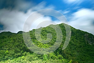 Tropical Rain Forest Mountain view â€“ Abstract nature travel background