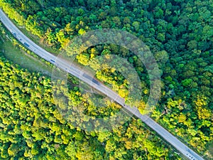 A tropical rain forest and a rural road in Thailand