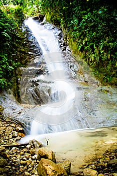 Tropical rain forest with waterfall photo