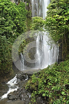 Tropical rain forest waterfall