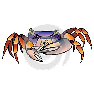 The crab. A royal rainbow crab. Cardisoma armatum photo