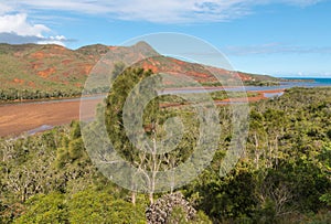 Tropical rainforest above Pirogues River estuary in New Caledonia photo