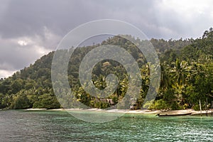 Tropical rainforest and beach, Kabui Bay, Gam Island, Raja Ampat, West Papua, Indonesia. photo