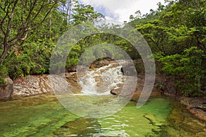Tropical rainforest, Chemerong Berembun Langsir, CBL, malaysia