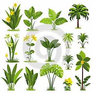 Tropical Rainforest Flora set vector flat isolated illustration