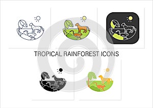 Tropical rainforest icons set