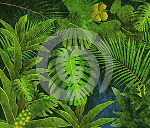 Tropical rainforest oil painting background photo