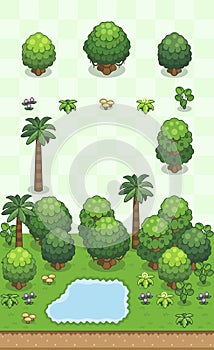 Tropical Rainforest Plants Set