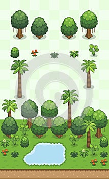 Tropical Rainforest Plants Set Alternative Version
