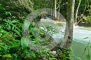 Tropical rainforest and river flowing at Huai Mae Khamin