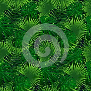 Tropical rainforest seamless pattern. exotic plants vector illustration. jungle background. Green herbage texture photo