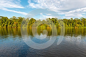 Tropical Rainforest at Sunset, Tortuguero, Costa Rica