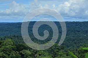 The tropical rainforest, a view over one of the many hills in the amazon with many different trees