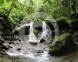 Tropical Rainforest Waterfall in Papua New Guinea