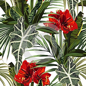 Tropical red lilies flowers seamless pattern with bright green leaves on white background.