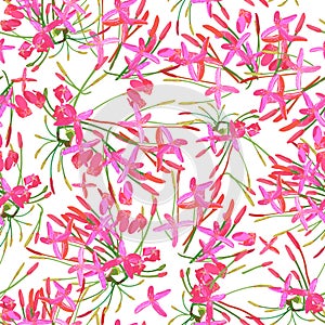 Tropical red pink flowers seamless pattern colorful isolated ha