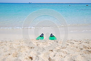 Tropical Red Sea in Egypt