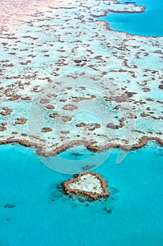 Tropical Reef, Australia