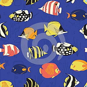 Tropical reef fish Seamless vector pattern. Swimming colorful fishes background. Butterflyfish, Clown Triggerfish, Damsel,