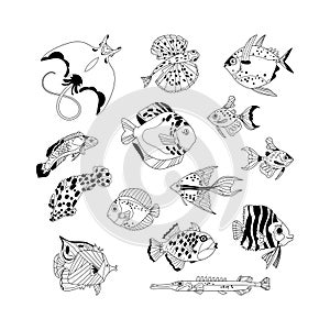 Tropical reef fish vector set. Ocean and aquarium underwater life black outline fishes isolated on white background. Sea wild