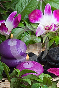 Tropical relaxation (1)