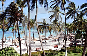 Tropical resort Aruba Island, Caribbean