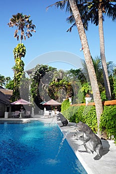 Tropical resort hotel swimming pool, Bali