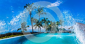 Tropical Resort Pool Cabana Palm Trees