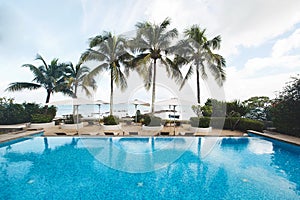 Tropical Resort Pool with Lounge Chairs, Palm Trees, and Ocean View.