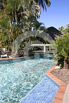 Tropical Resort pool, Queensland, Australia