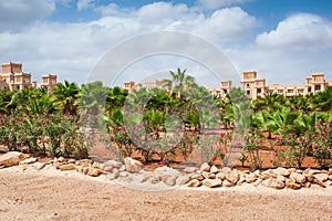 Tropical resort scenery