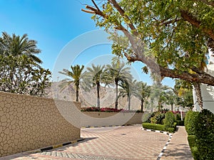Tropical resort - summer gateaway - relaxing vacation with palm trees, swimming pool and beach in Northern Emirates of UAE
