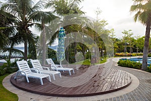 Tropical Resort,sunbeds,coconut trees