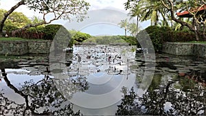 Tropical resort, tropical landscape. Bali island, Indonesia.