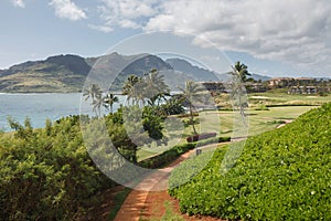 Tropical Resort View in Lihue, Kauai