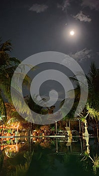 tropical resort view at night in vertical