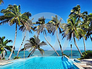 Tropical resort's pool with lagoon view and palms on a sunny day