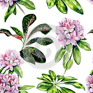 Tropical rhododendron flower seamless pattern watercolor.